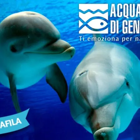 Konukevi Brignole B 3*