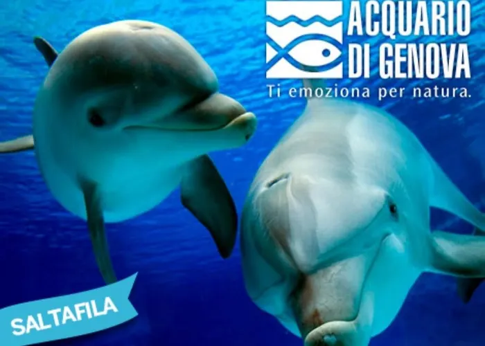 Penzion Brignole B 3*